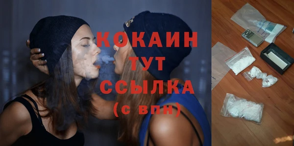 СК Алексин