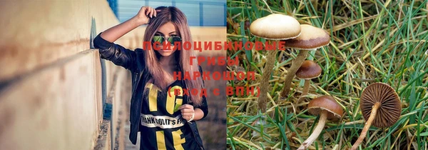 амф Остров