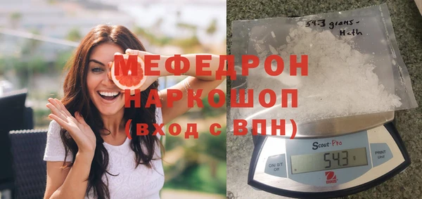 СК Алексин