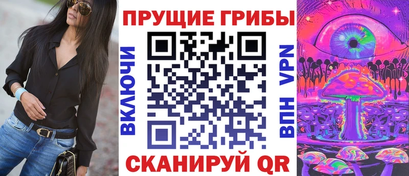как найти наркотики  Неман  Псилоцибиновые грибы Psilocybe 